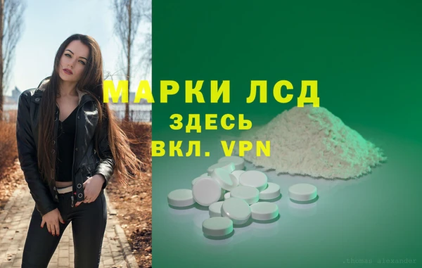 СК Алексин