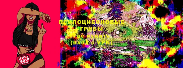 СК Алексин