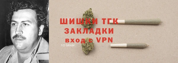 тгк Алзамай