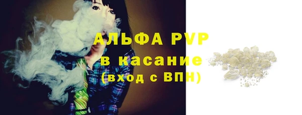 СК Алексин