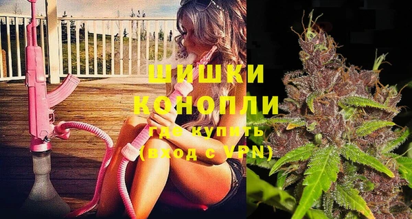 СК Алексин