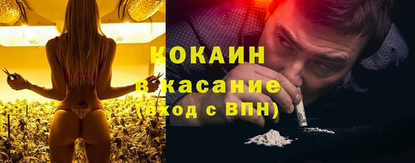 СК Алексин