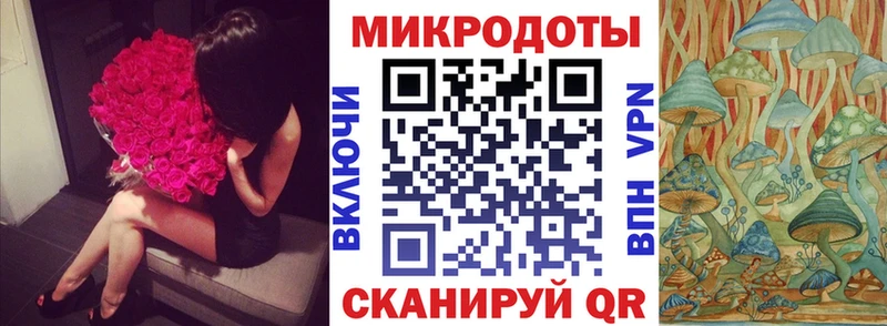дарк нет какой сайт  закладки  Ипатово  Псилоцибиновые грибы Psilocybe 