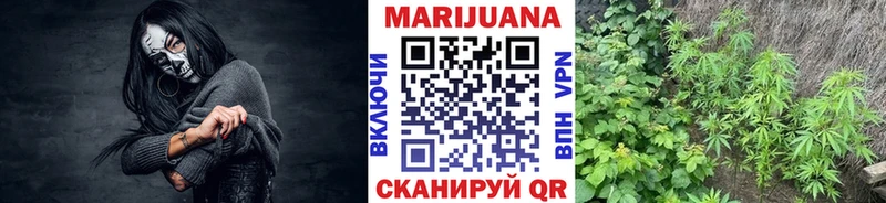 Каннабис ГИДРОПОН Ипатово
